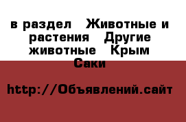  в раздел : Животные и растения » Другие животные . Крым,Саки